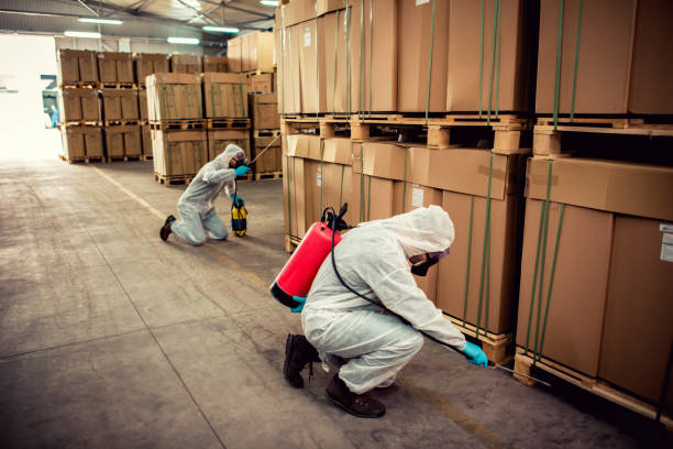 Best Emergency Pest Control  in Lone Tree, IA