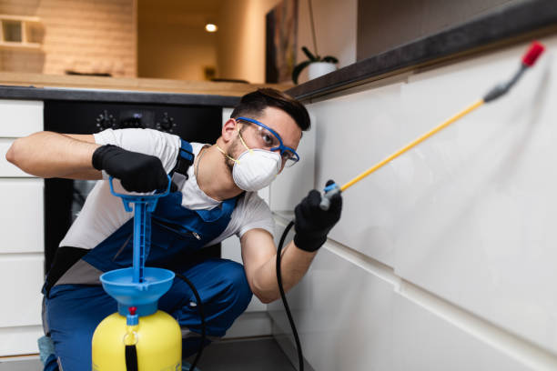 Best Mosquito Control Services  in Lone Tree, IA