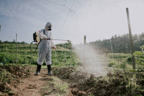 Best Best Pest Control Companies  in Lone Tree, IA