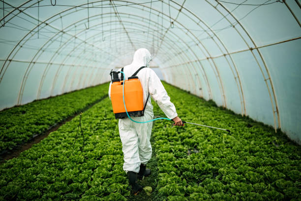 Best Pest Control Near Me  in Lone Tree, IA