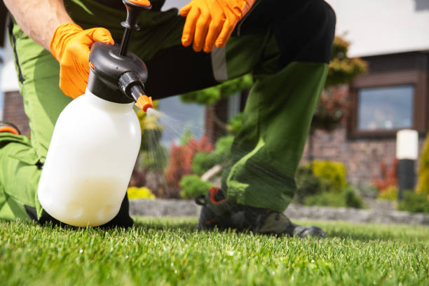 Pest Prevention Services in Lone Tree, IA