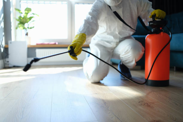 Trusted Lone Tree, IA Pest Control Experts