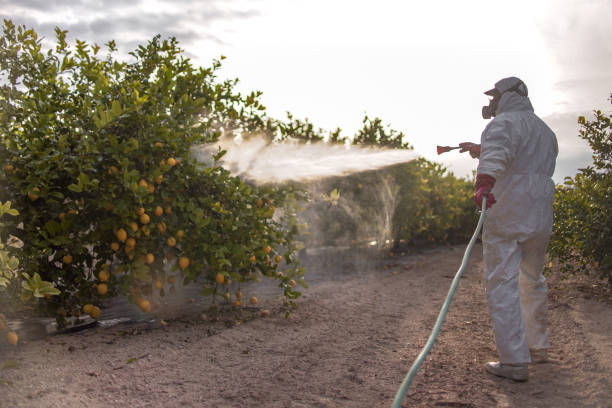 Best Local Pest Control Services  in Lone Tree, IA