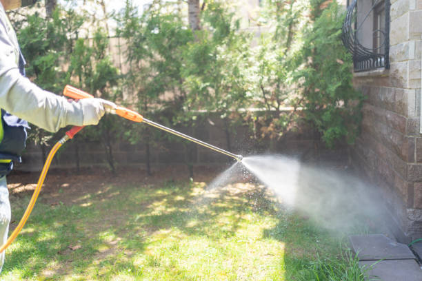 Bird Control in Lone Tree, IA