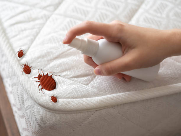 Professional Pest Control in Lone Tree, IA