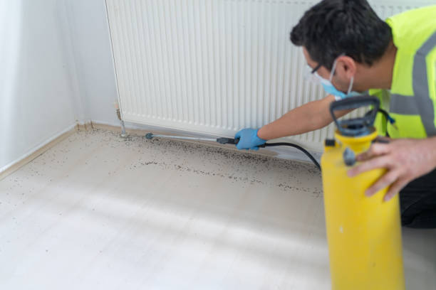 Pest Control for Restaurants in Lone Tree, IA