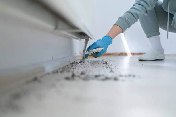 Best Best Pest Control Companies  in Lone Tree, IA