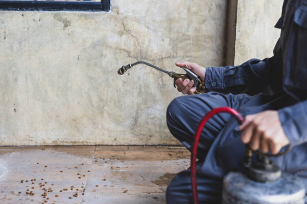 Best Pest Control for Restaurants  in Lone Tree, IA